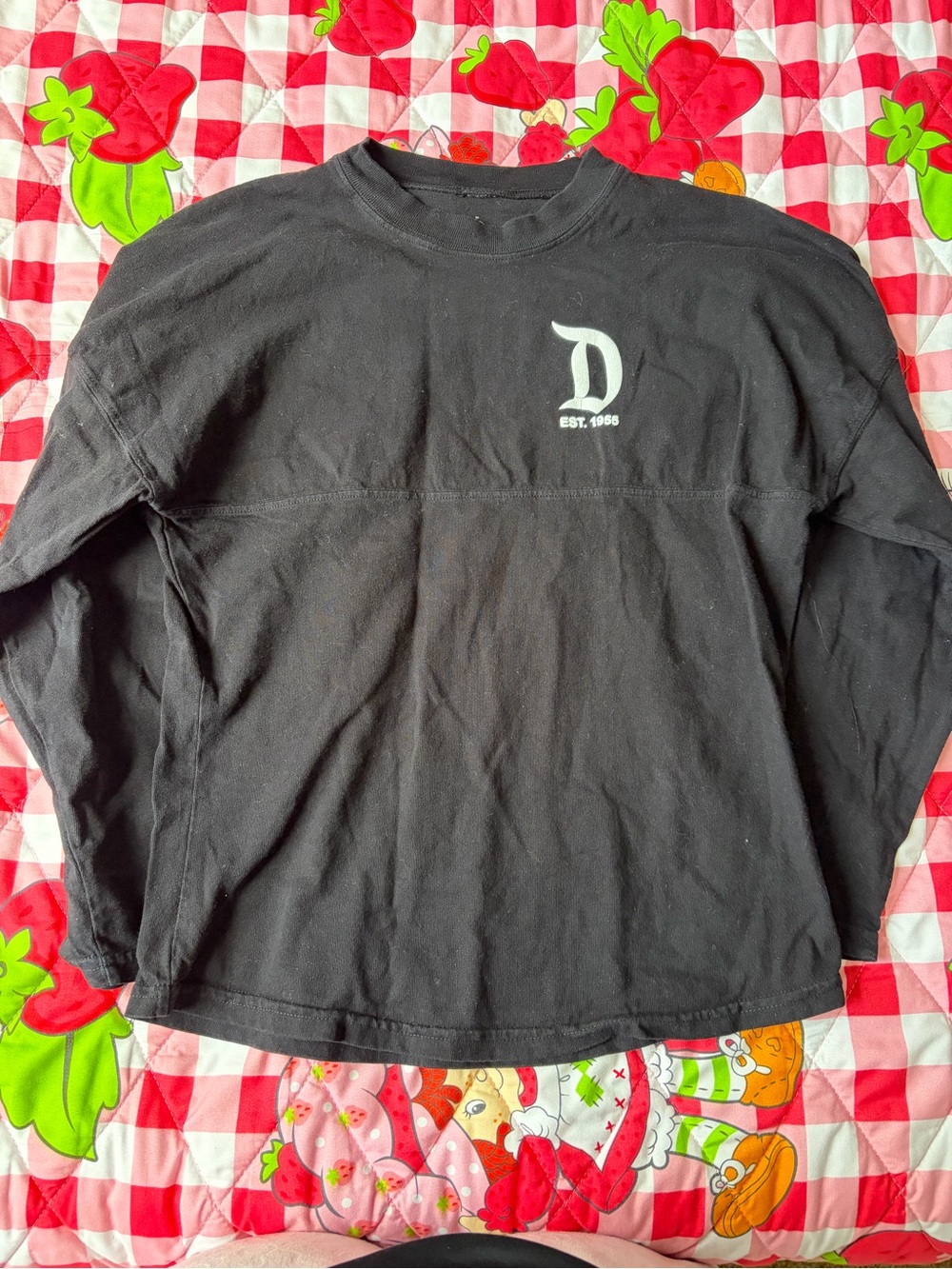 Disneyland Spirit Jersey
